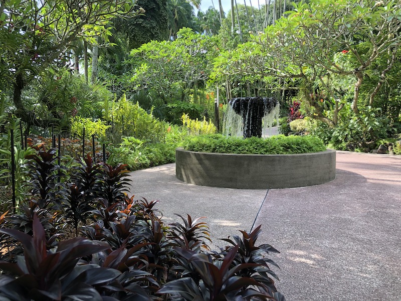 Texturas Jardín botánico Singapur