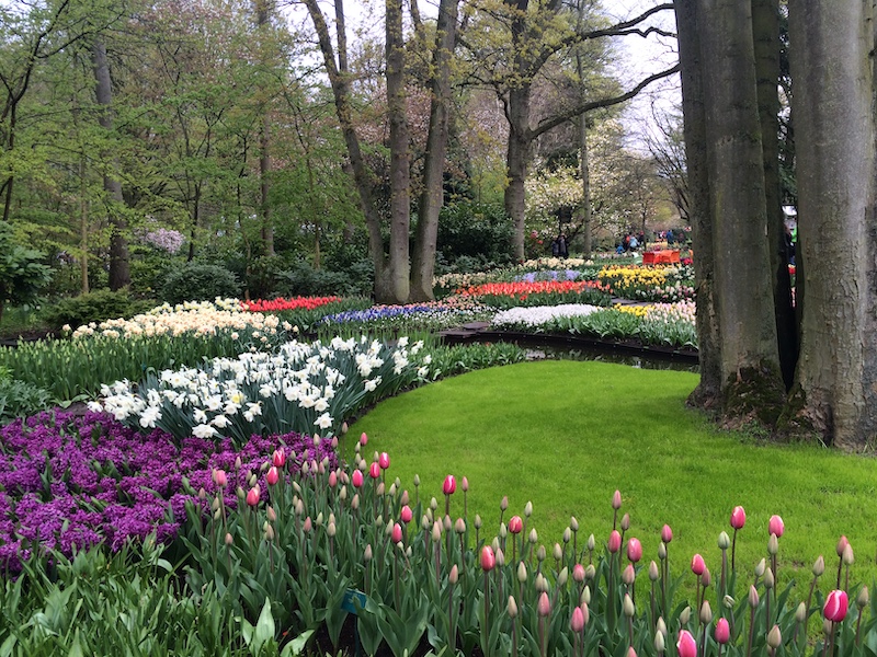Jardín de flores efímero Keukenhof